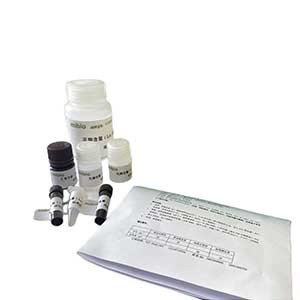 線粒體呼吸鏈復合體Ⅴ/ATP合酶/三磷酸腺苷合酶測試盒/微量法主圖